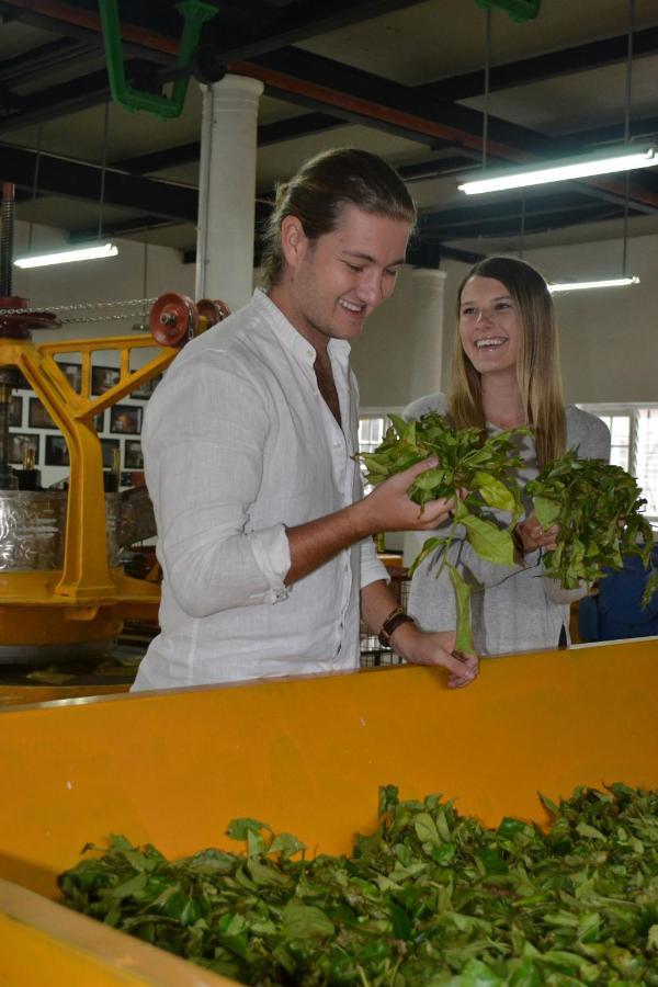 فندق Tea And Experience Factory - Thema Collection Mandaran Newara المظهر الخارجي الصورة